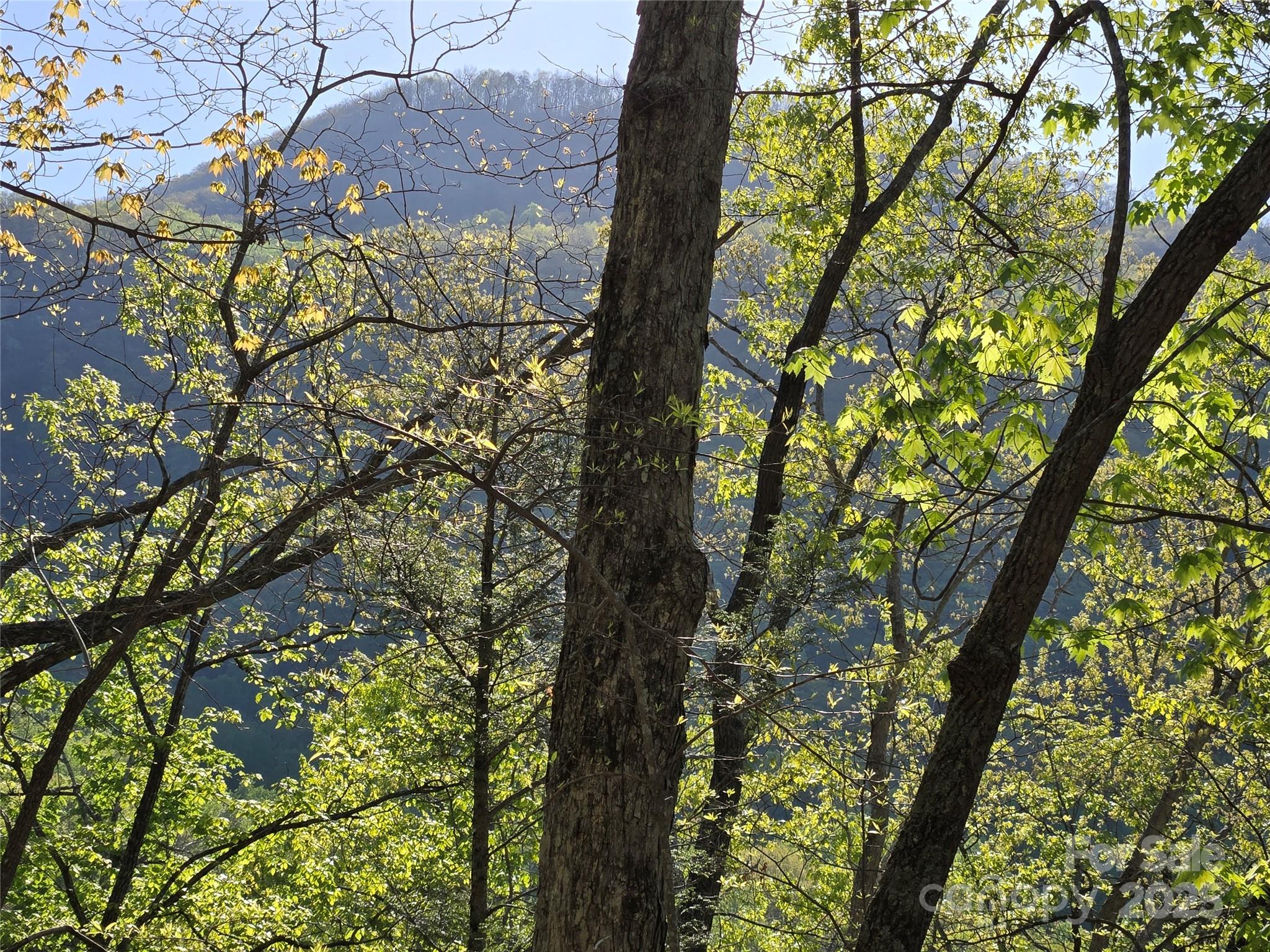 Lot 164 Spanarkel Lane Lake Lure NC 28746