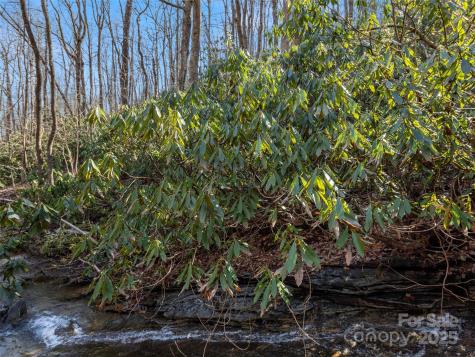 0 Mount Olivet Road Zirconia NC 28790