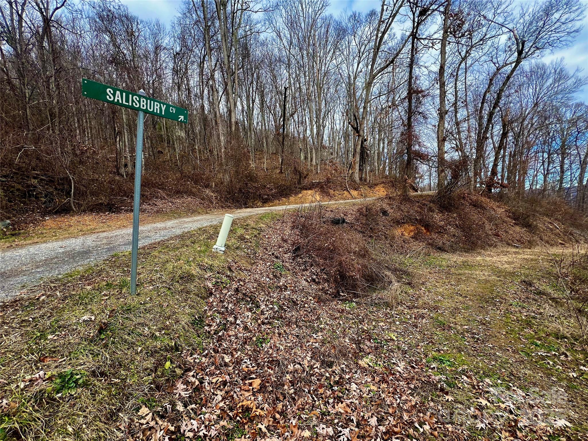 4 And 4b Salisbury Cove Waynesville NC 28785