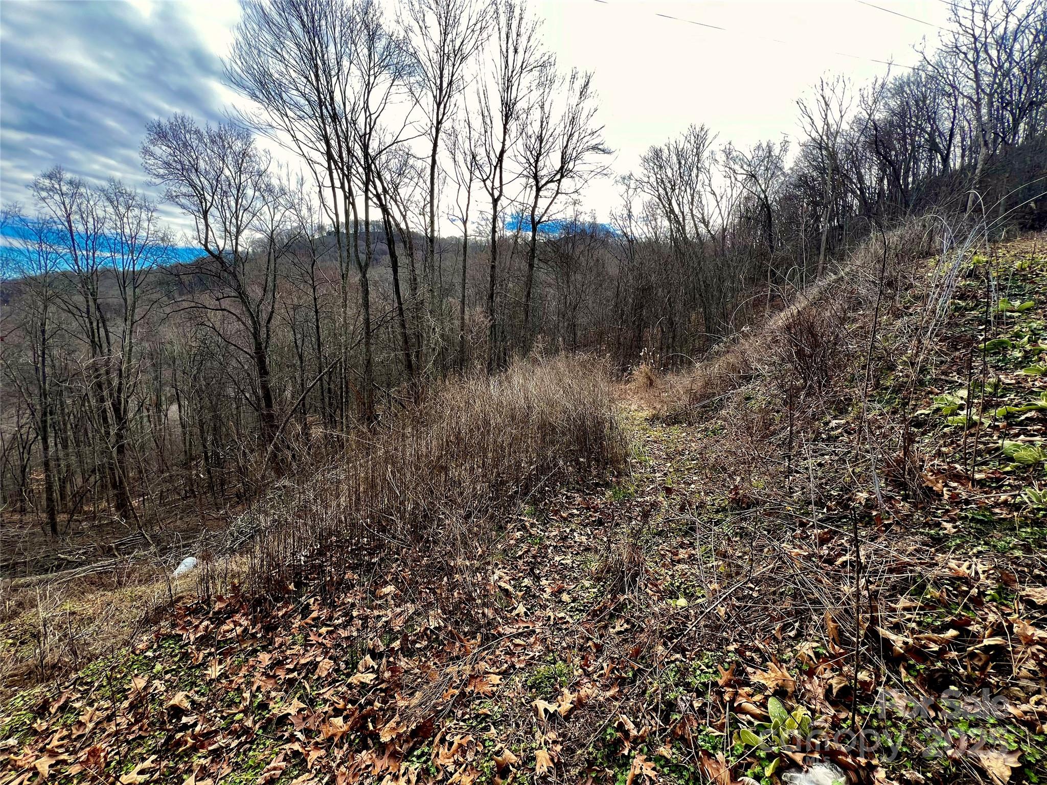 4 And 4b Salisbury Cove Waynesville NC 28785