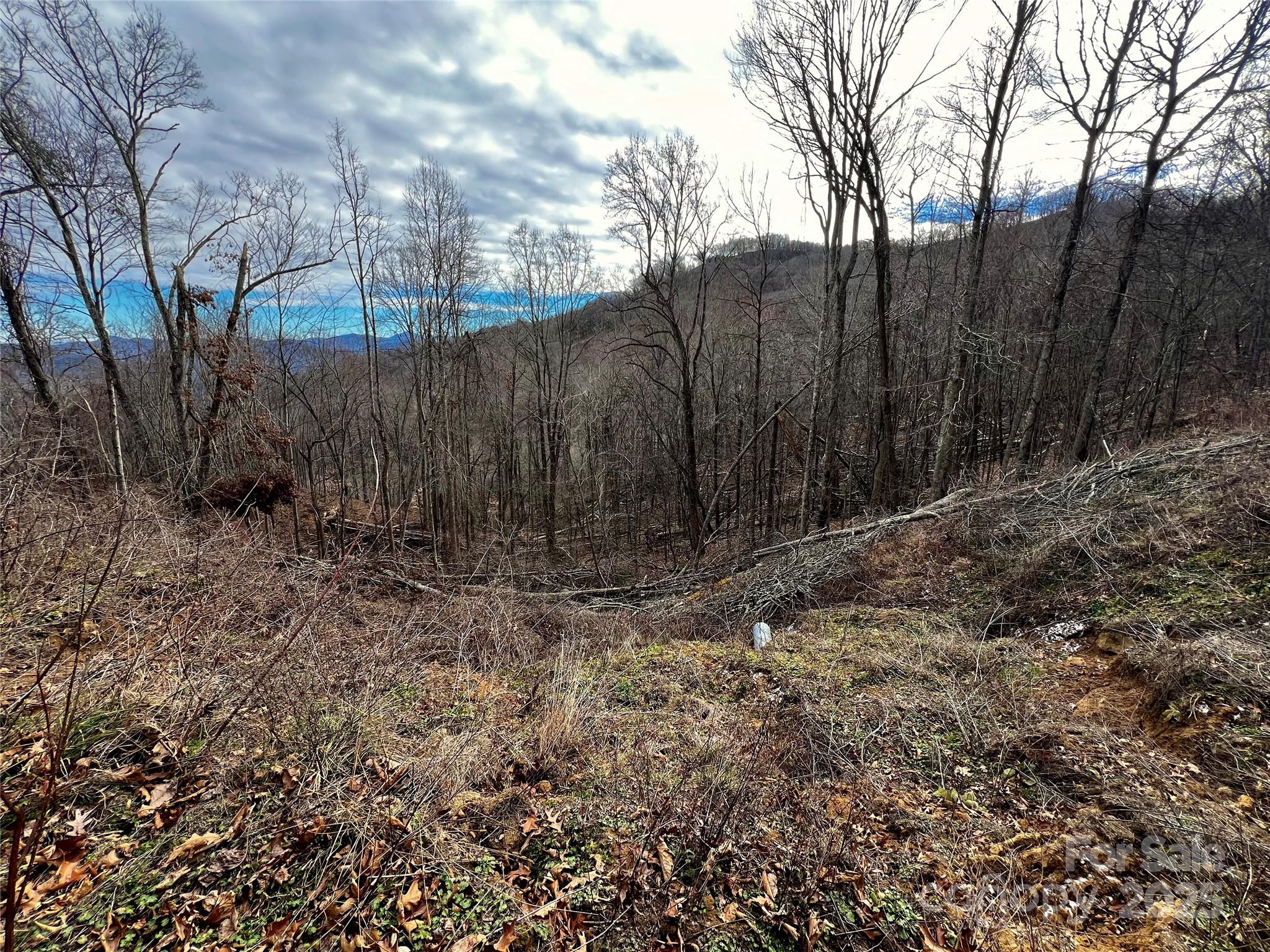 4 And 4b Salisbury Cove Waynesville NC 28785