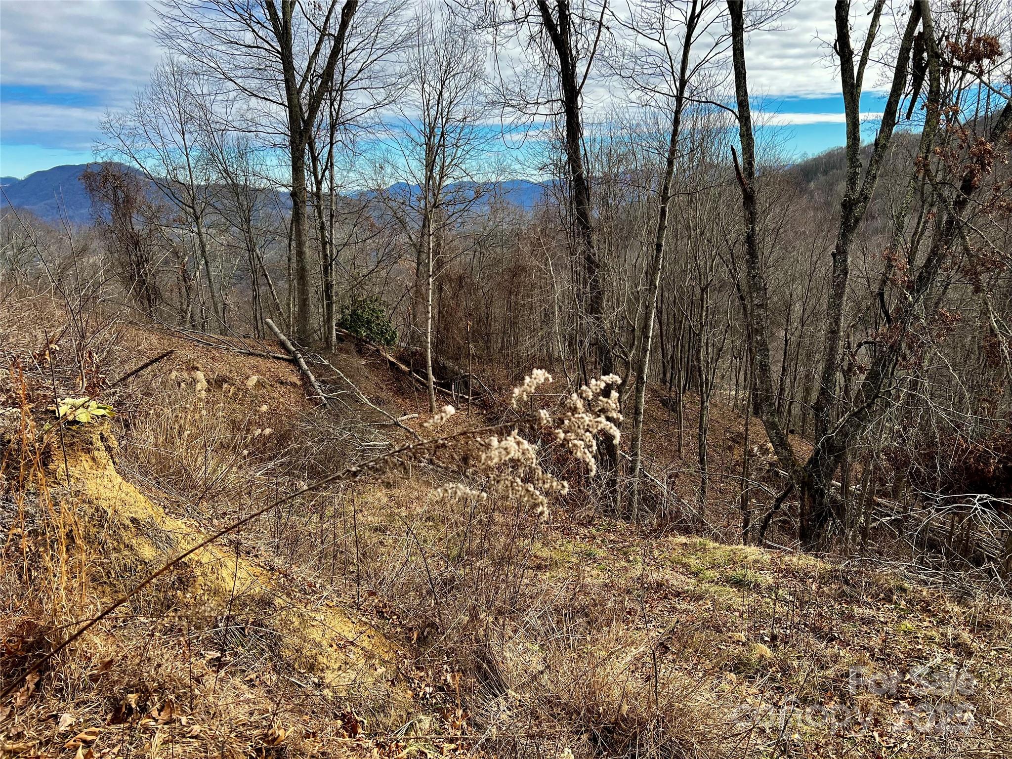 4 And 4b Salisbury Cove Waynesville NC 28785