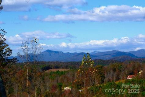 488 Moonlight Pass Union Mills NC 28167