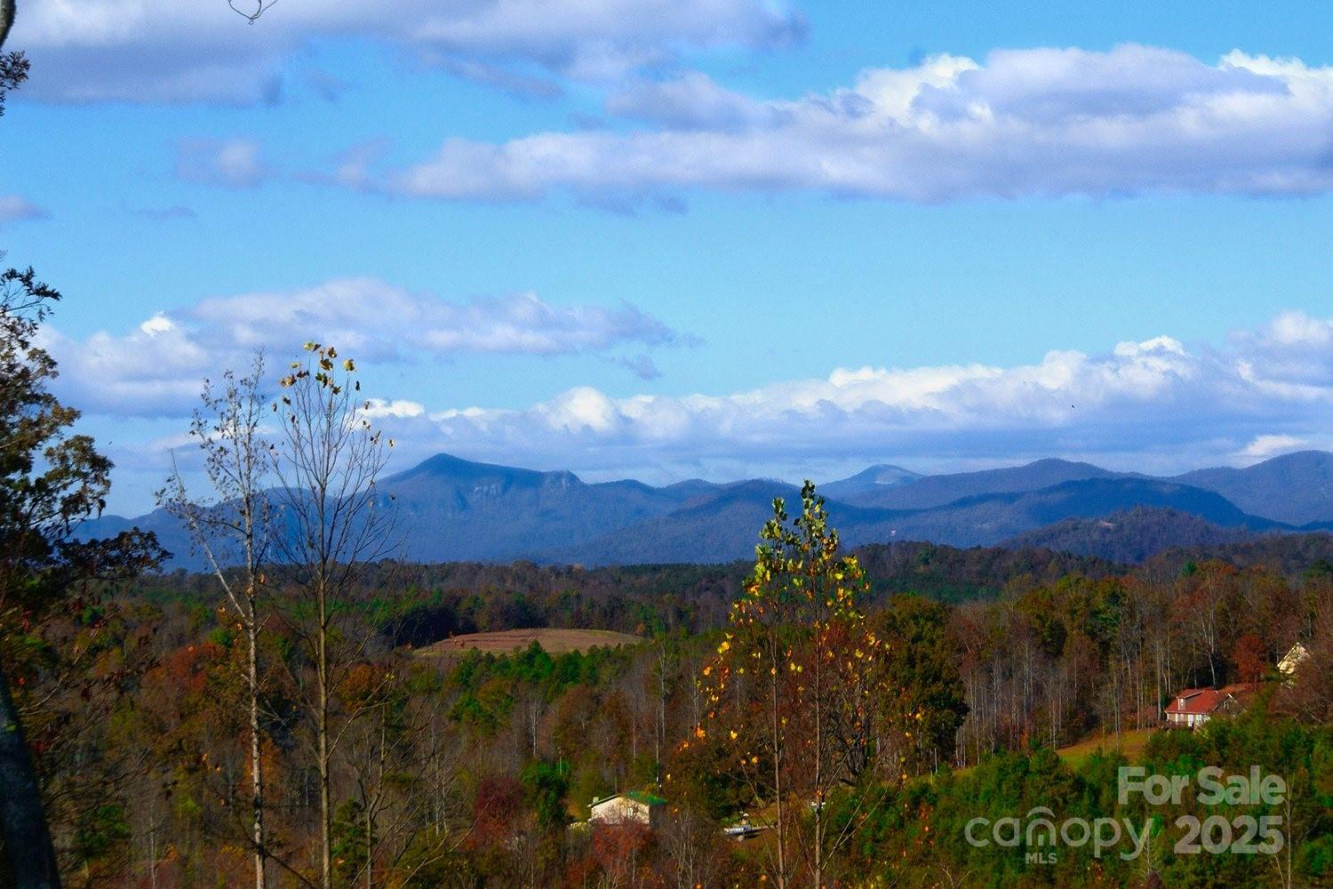 488 Moonlight Pass Union Mills NC 28167