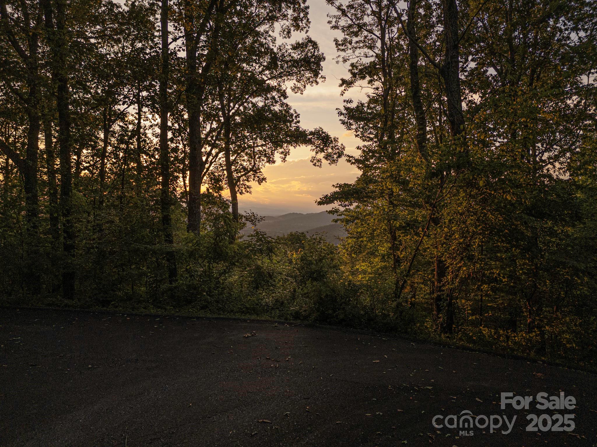 15 Casta Way Asheville NC 28803