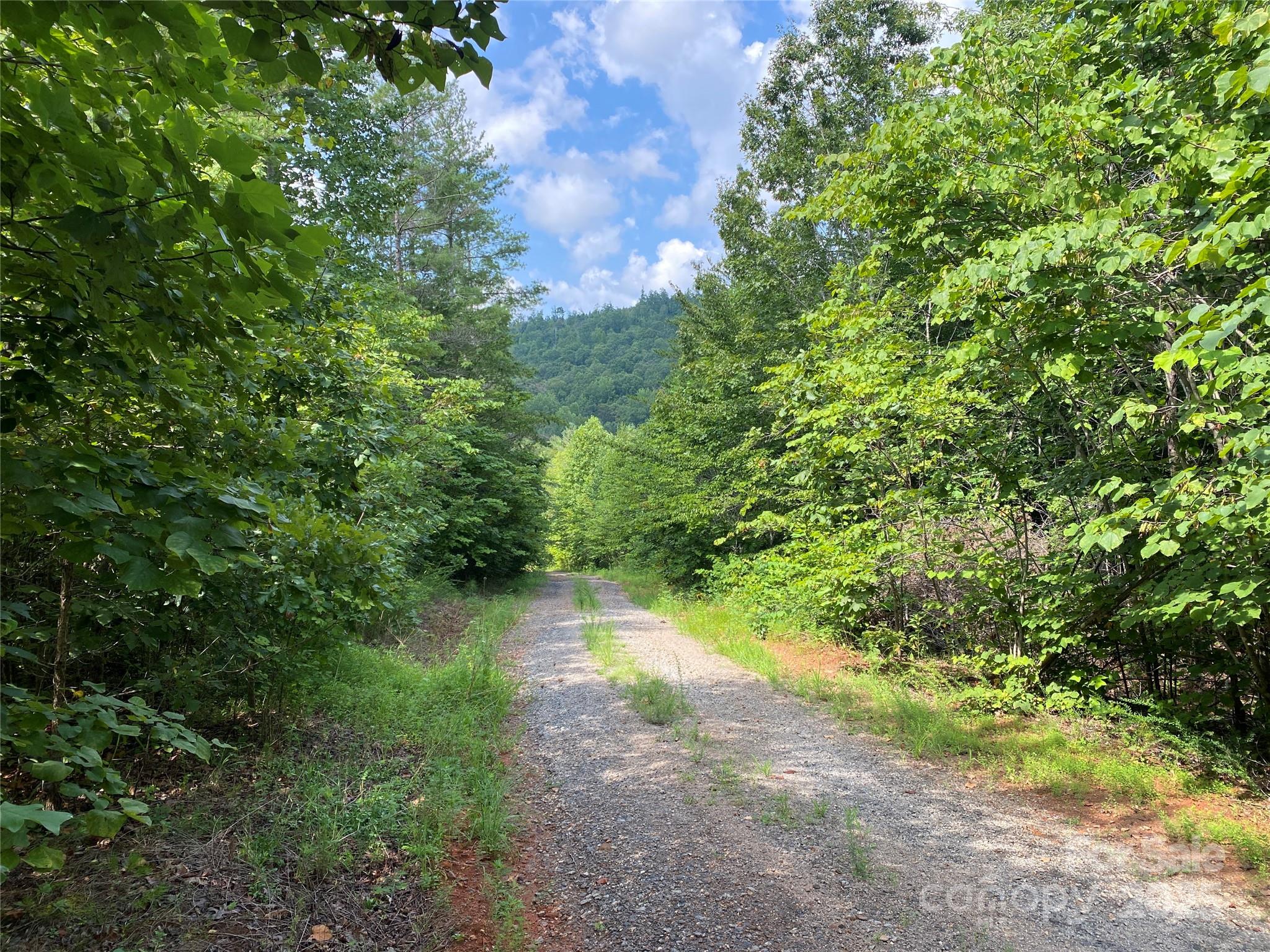 0 Camp Mccall Road Bostic NC 28018