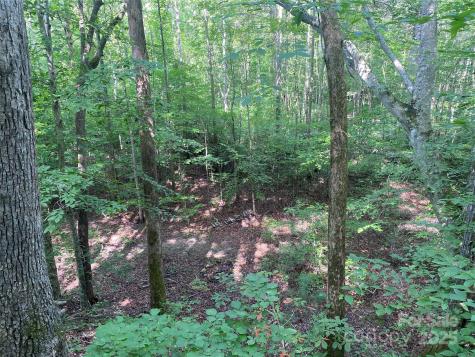 0 Camp Mccall Road Bostic NC 28018