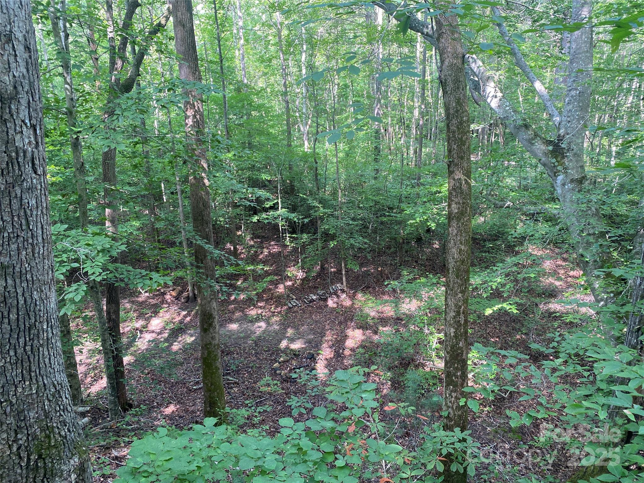 0 Camp Mccall Road Bostic NC 28018