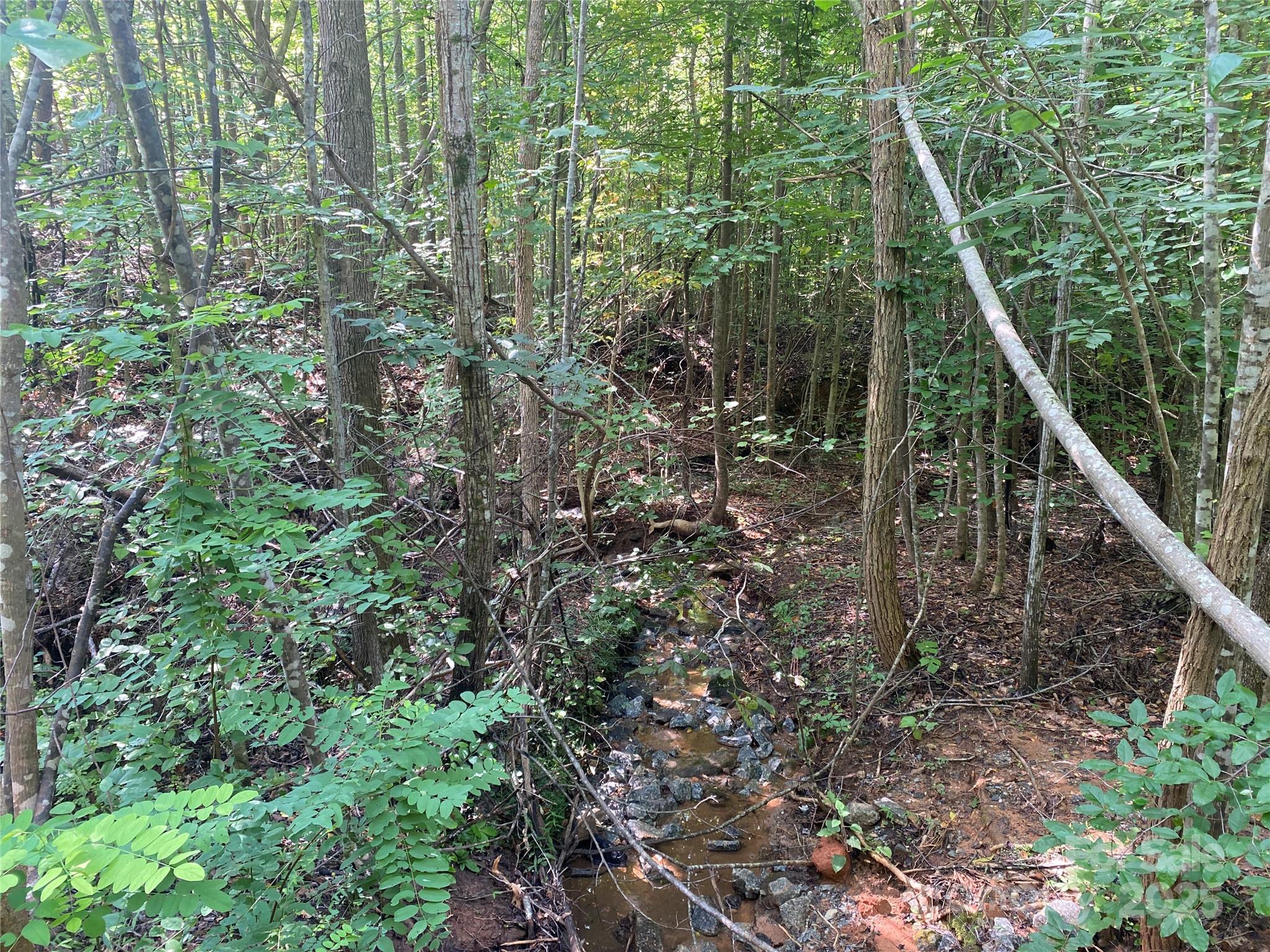 0 Camp Mccall Road Bostic NC 28018