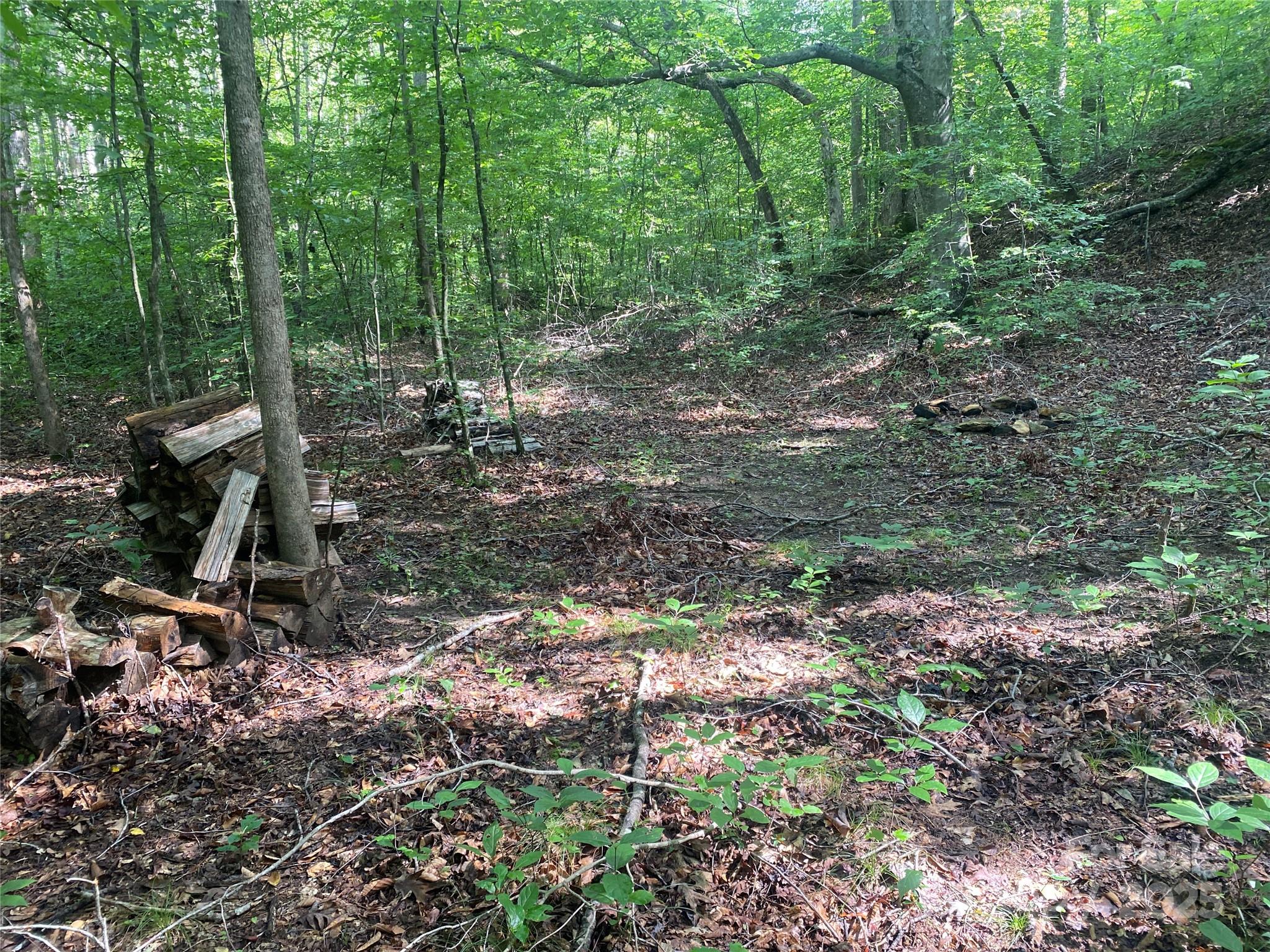 0 Camp Mccall Road Bostic NC 28018