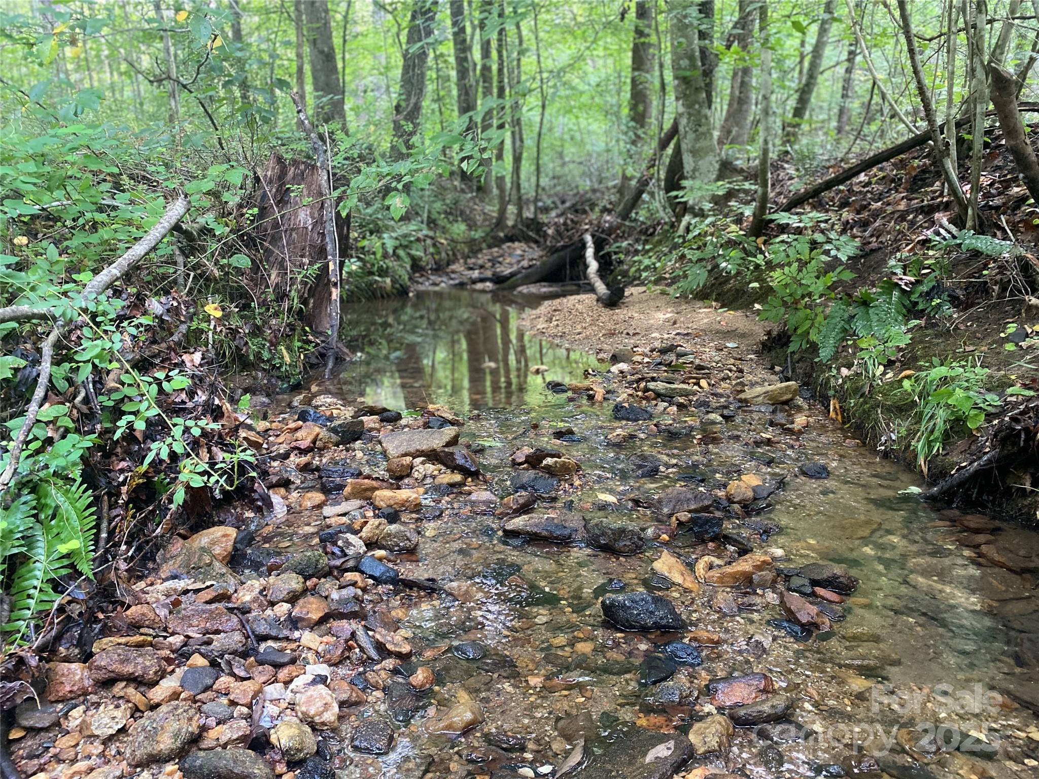 0 Camp Mccall Road Bostic NC 28018