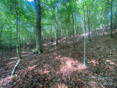0 Camp Mccall Road Bostic NC 28018