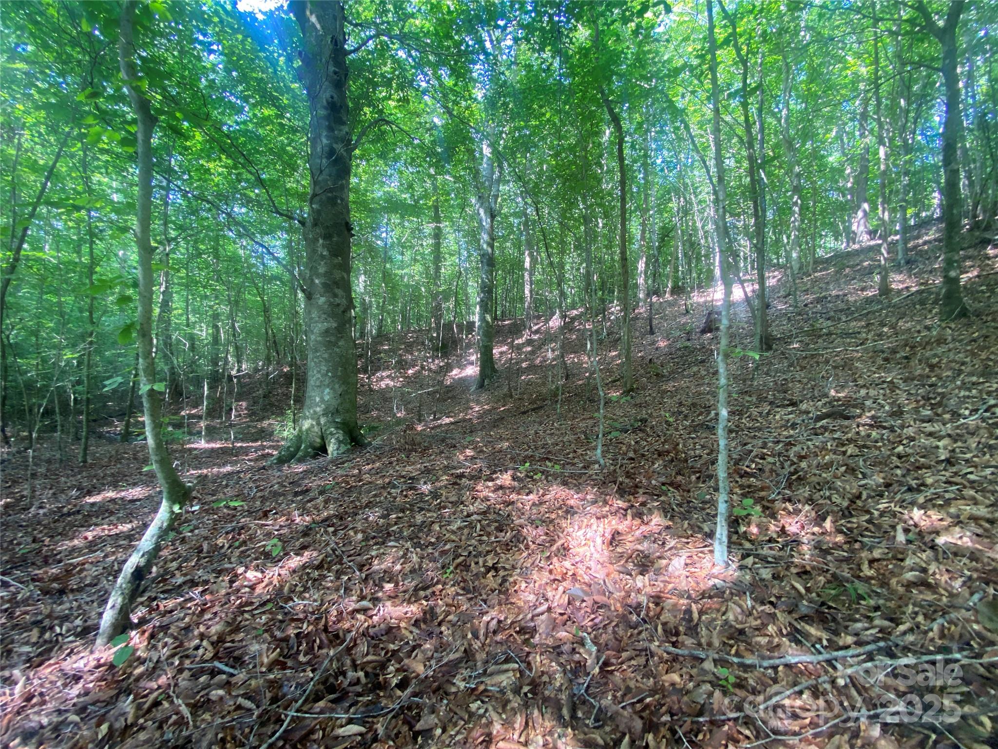 0 Camp Mccall Road Bostic NC 28018