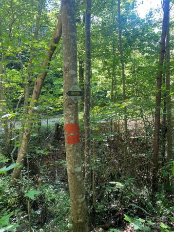 0 Camp Mccall Road Bostic NC 28018