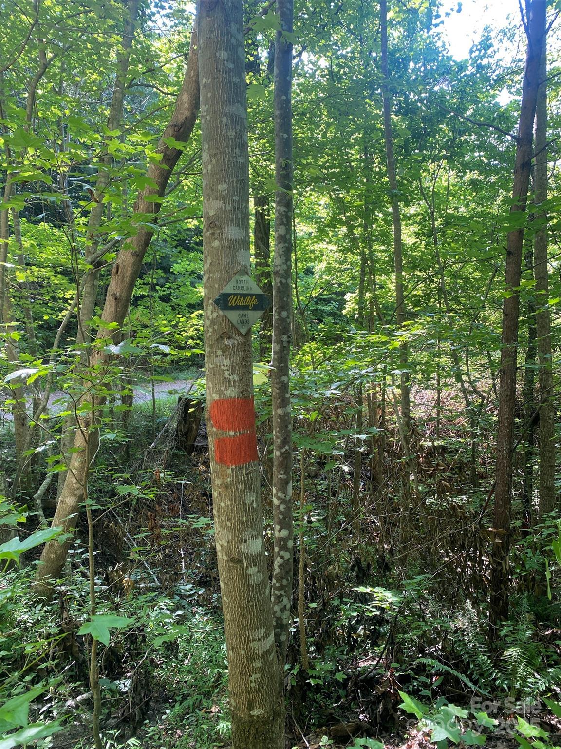 0 Camp Mccall Road Bostic NC 28018