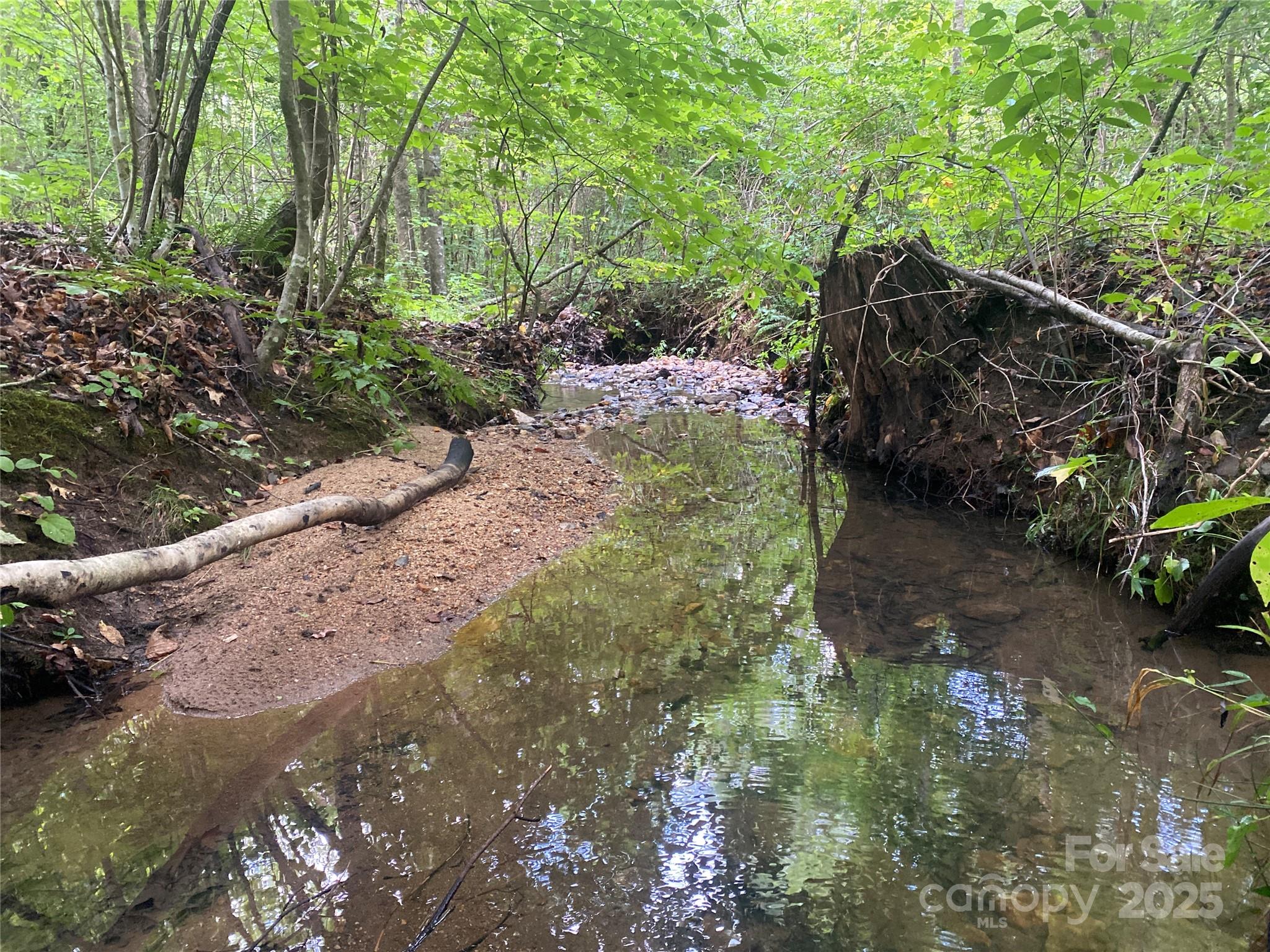 0 Camp Mccall Road Bostic NC 28018