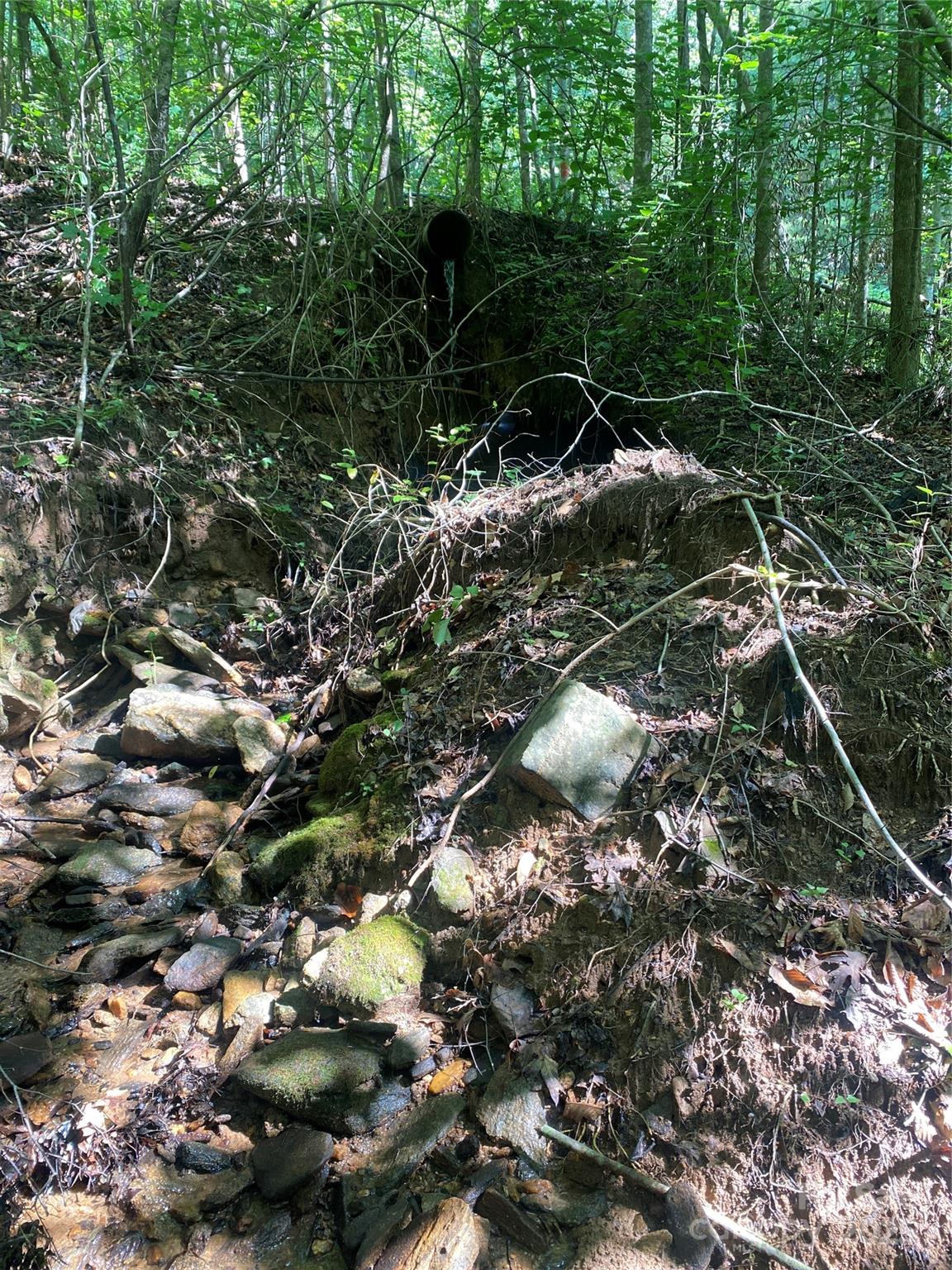 0 Camp Mccall Road Bostic NC 28018