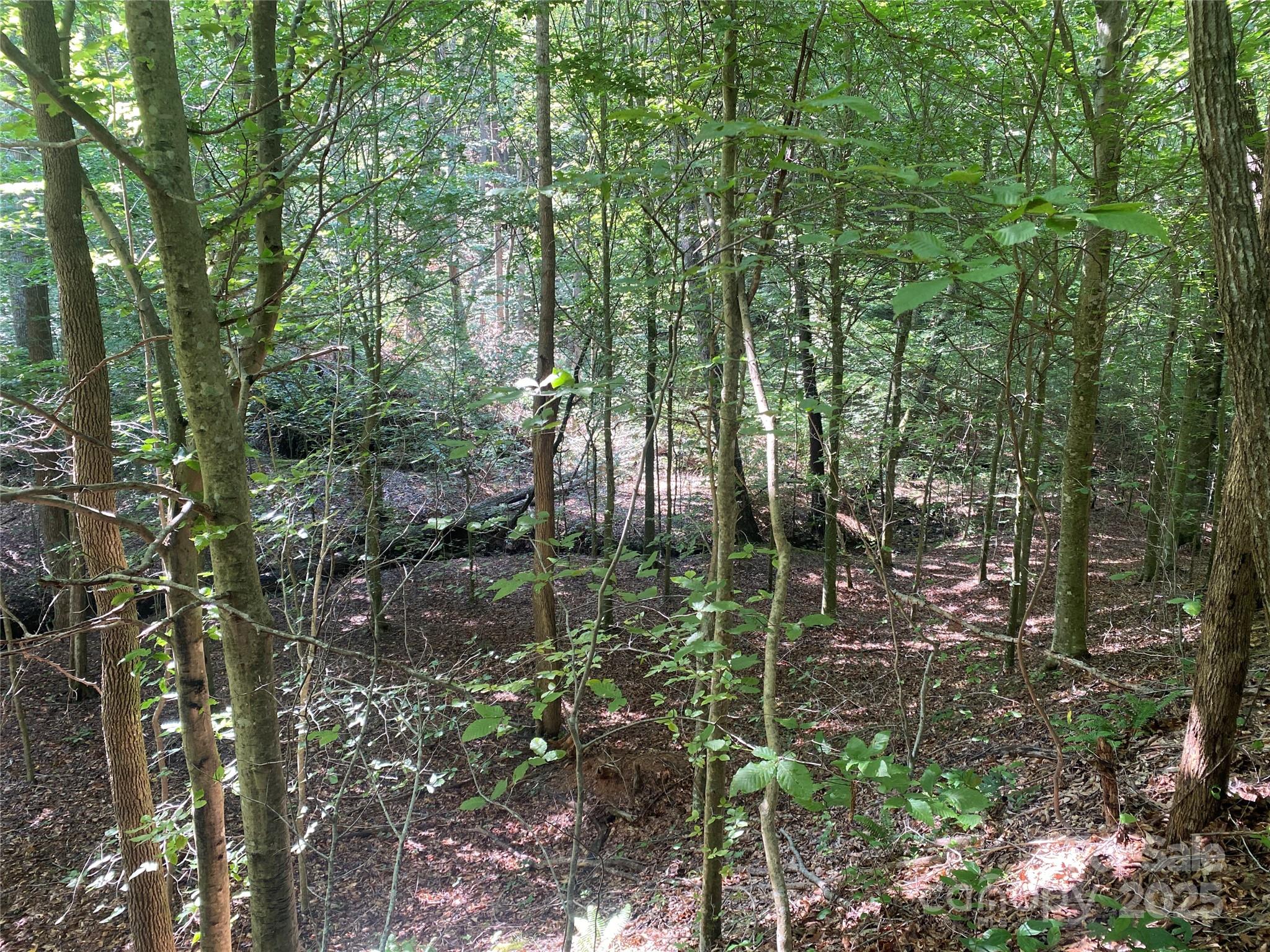 0 Camp Mccall Road Bostic NC 28018