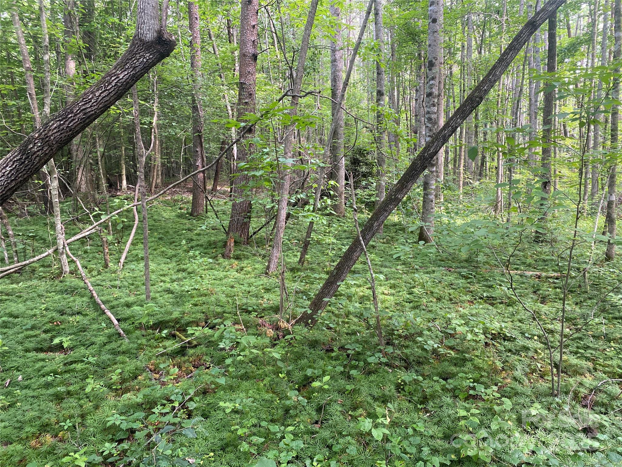 0 Camp Mccall Road Bostic NC 28018