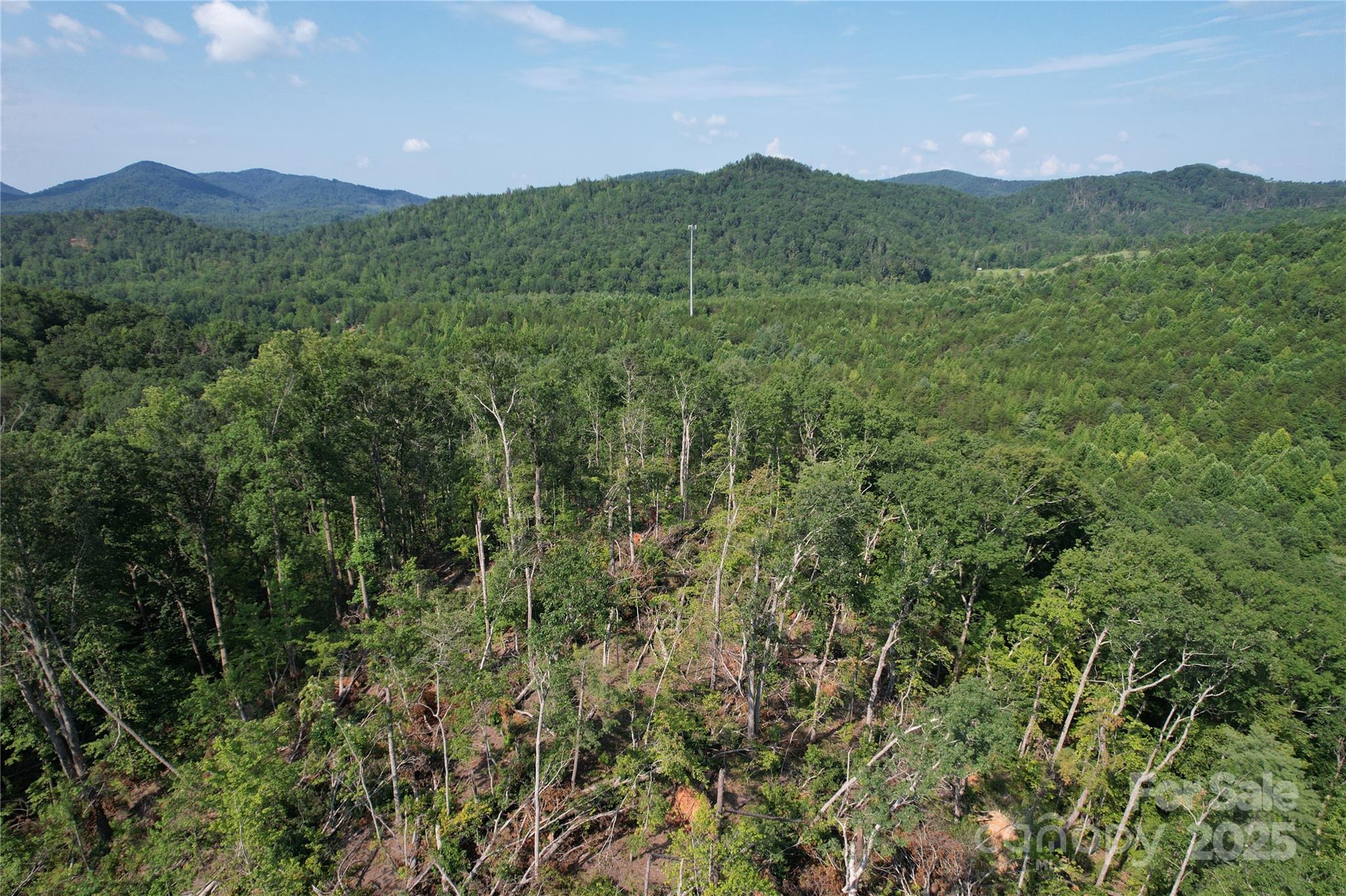 0 Camp Mccall Road Bostic NC 28018