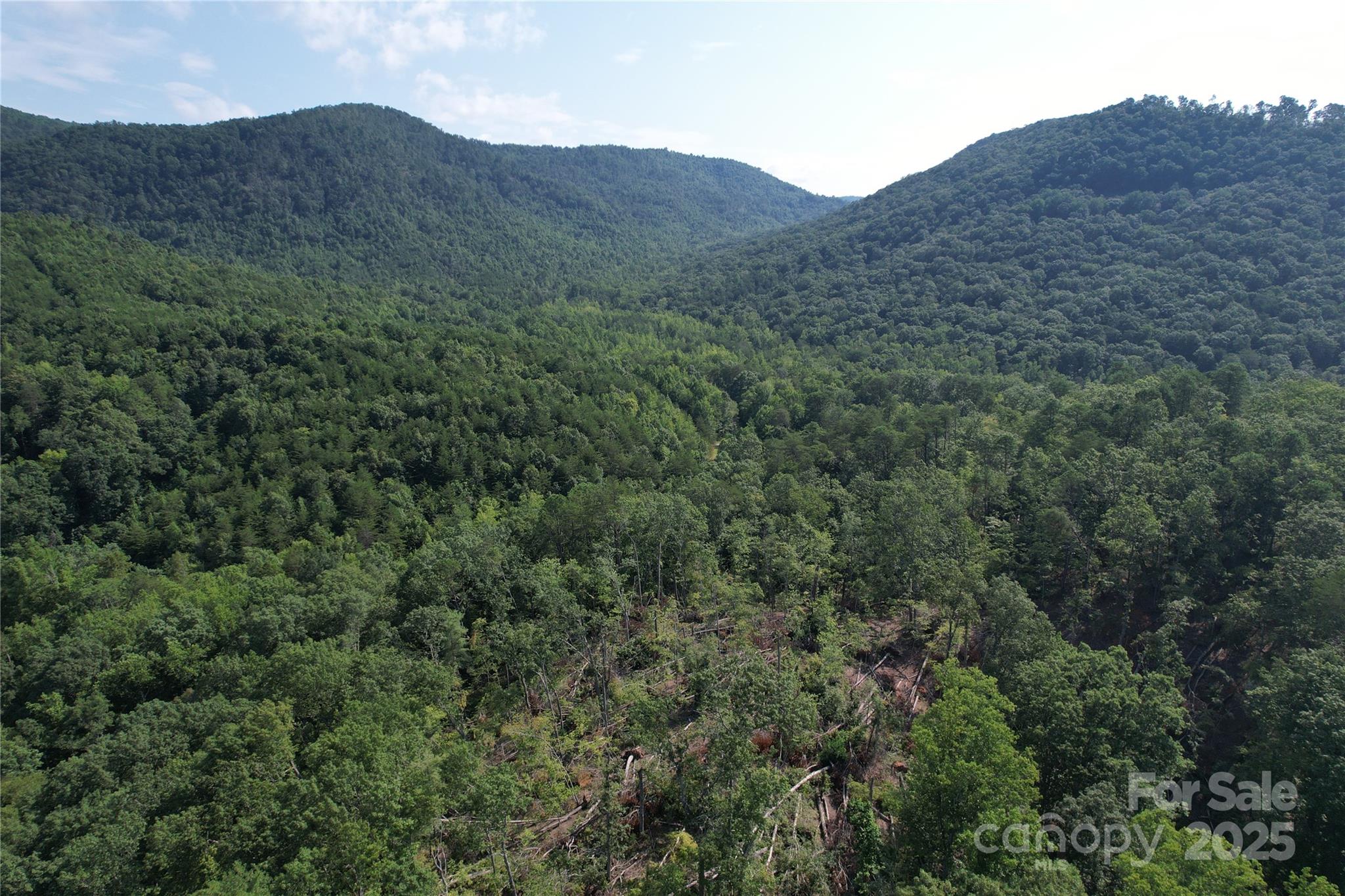 0 Camp Mccall Road Bostic NC 28018