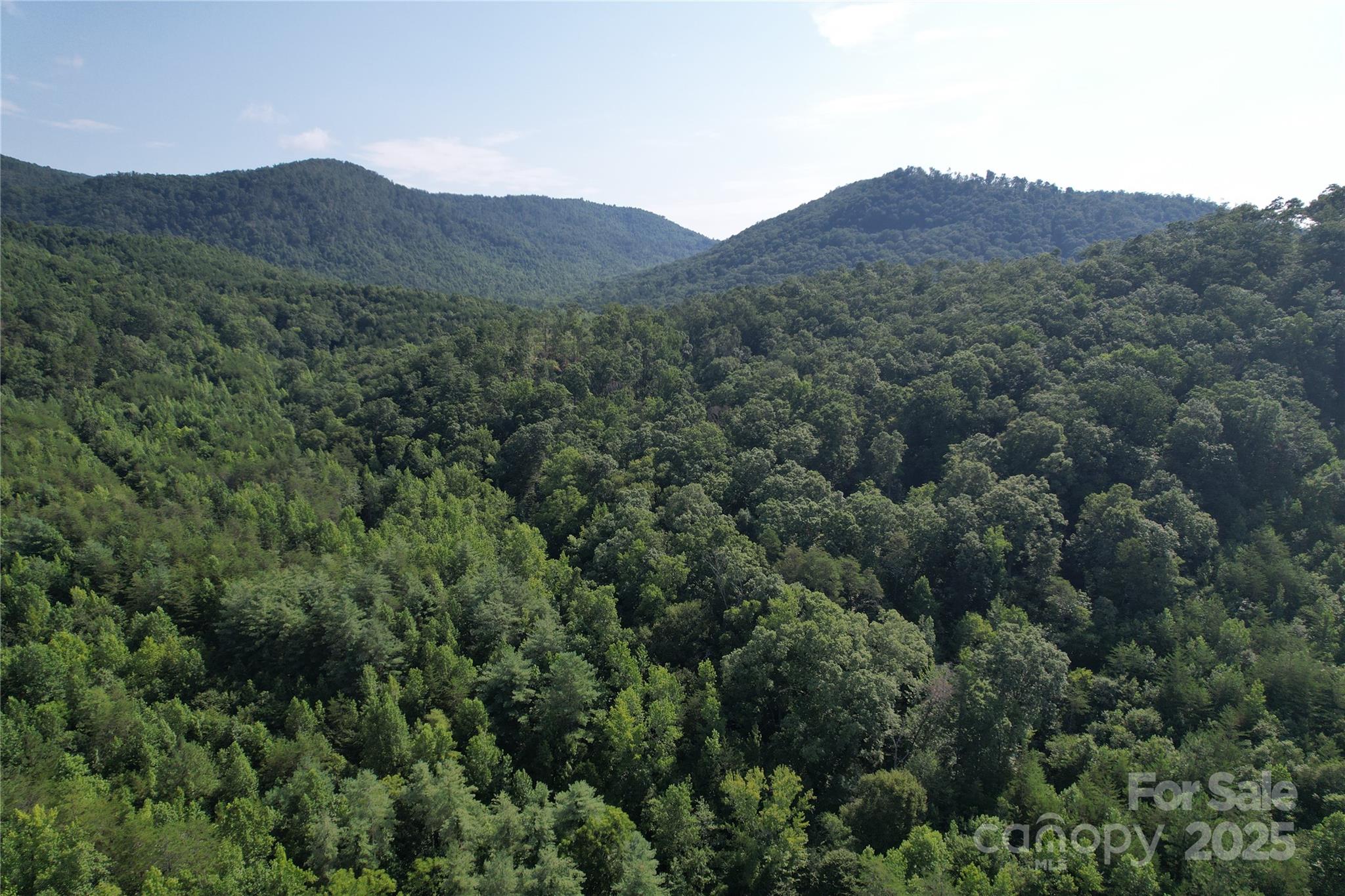 0 Camp Mccall Road Bostic NC 28018