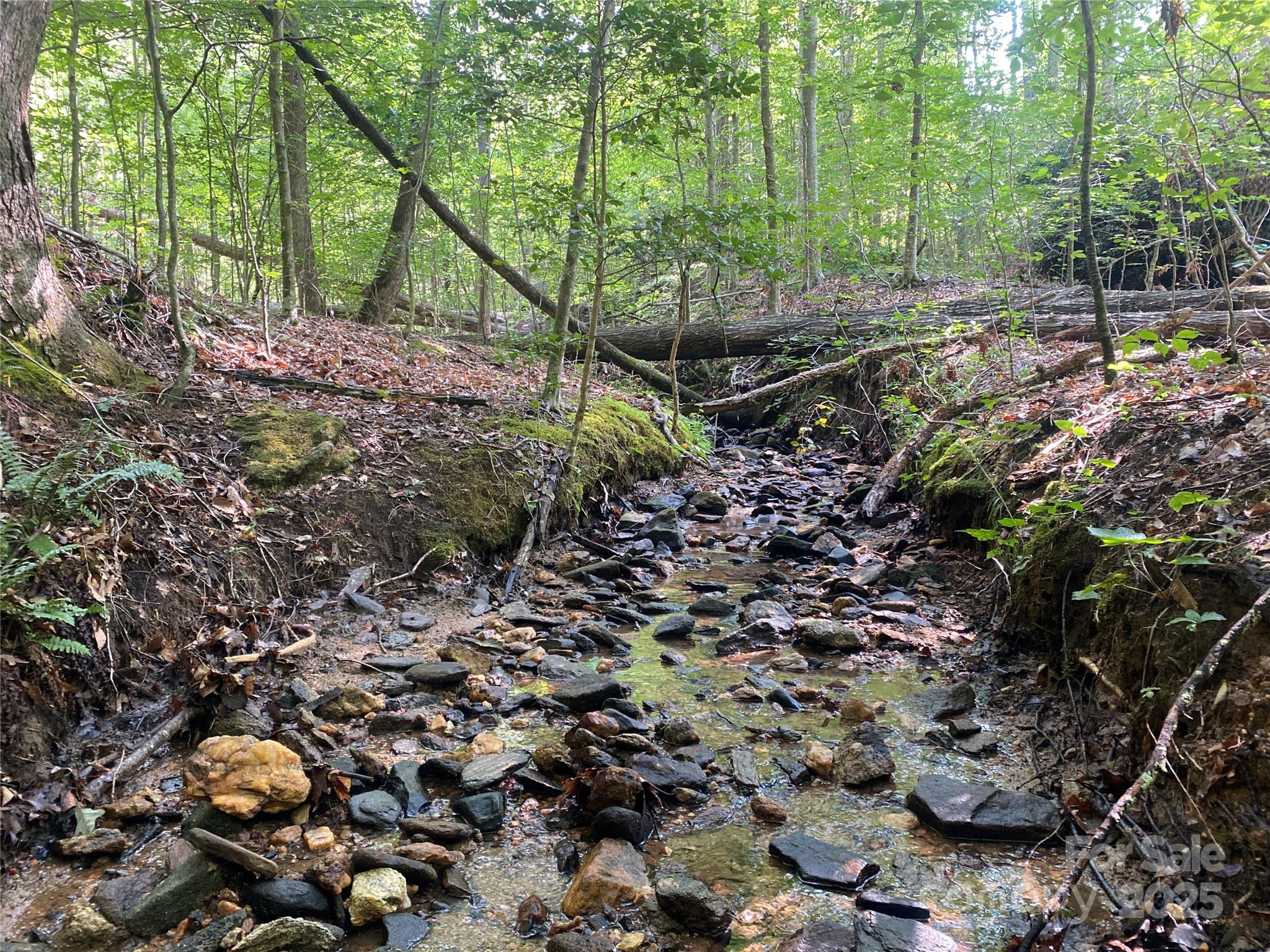 0 Camp Mccall Road Bostic NC 28018