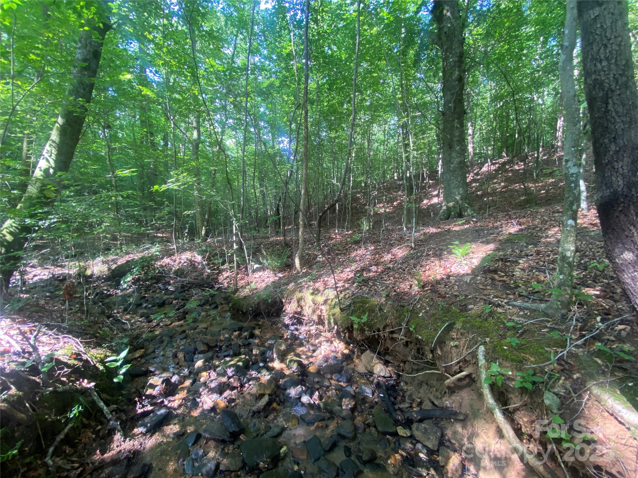 0 Camp Mccall Road Bostic NC 28018