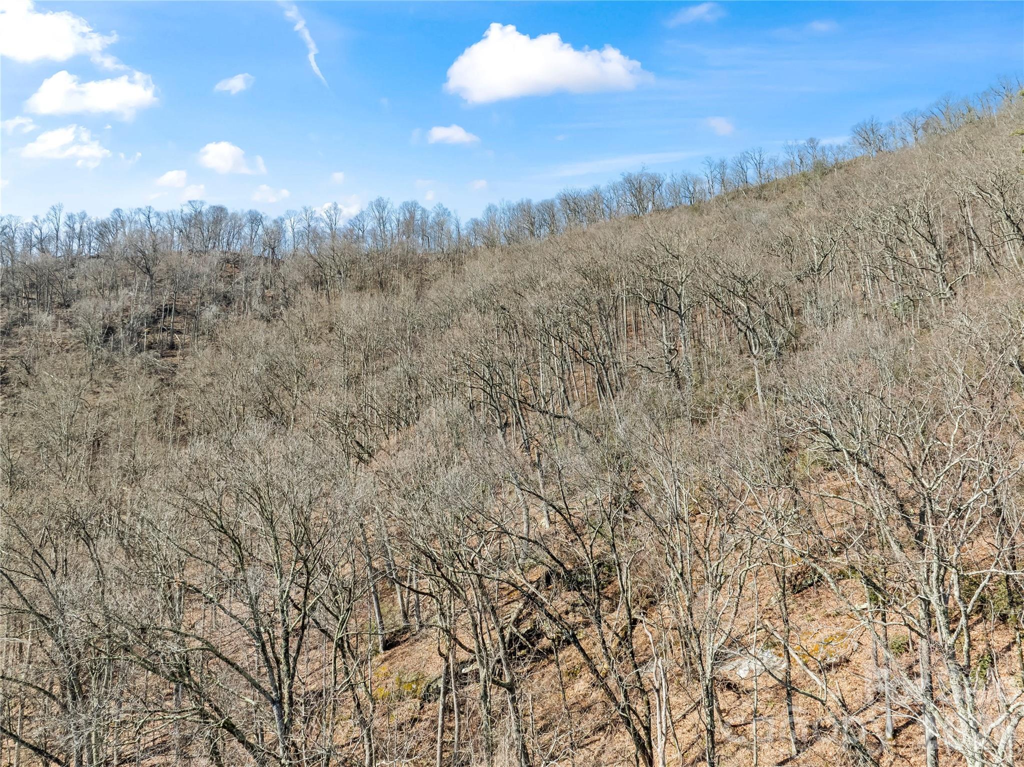 31 Reillys Bluff Road Barnardsville NC 28709