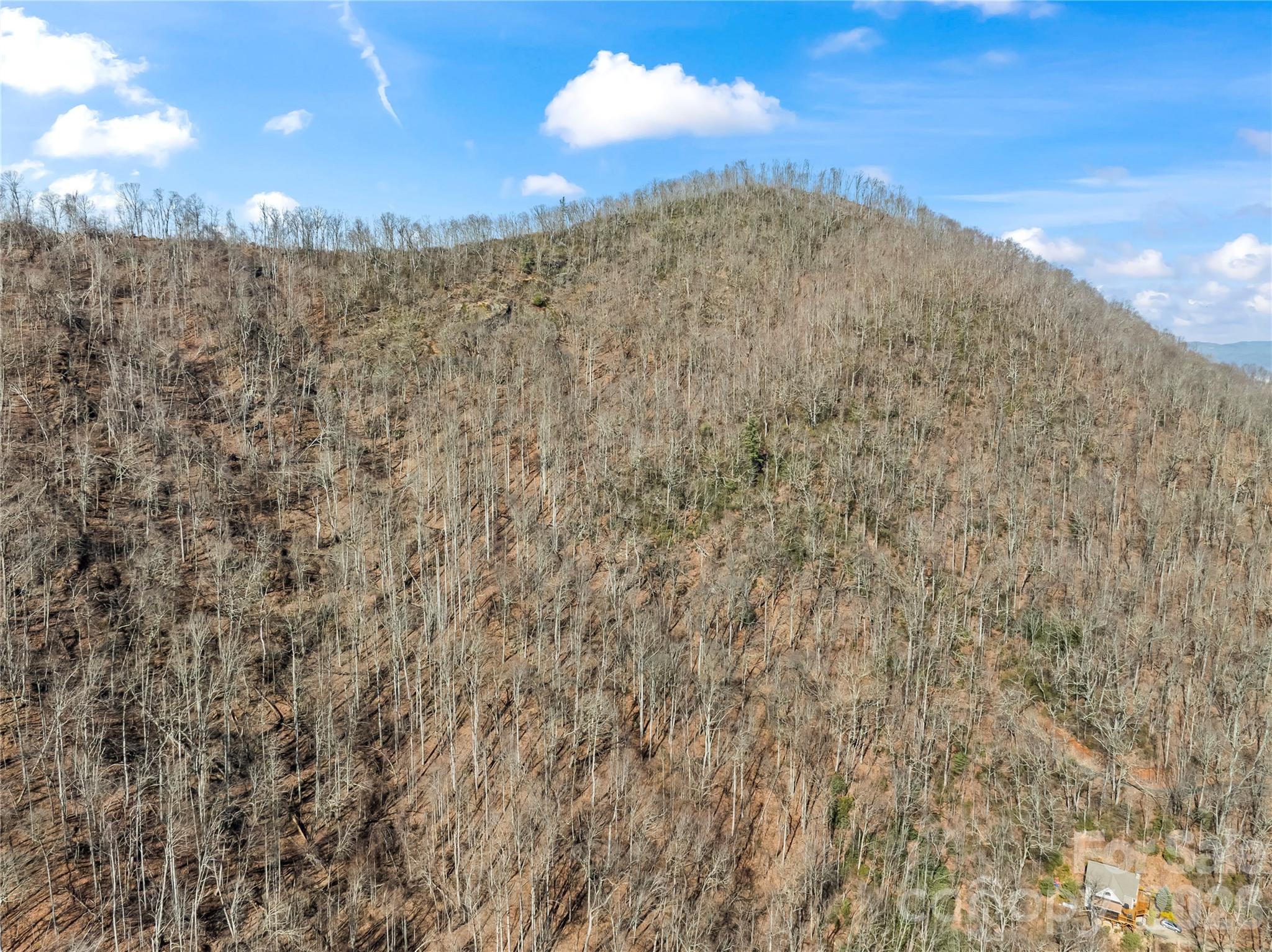 31 Reillys Bluff Road Barnardsville NC 28709