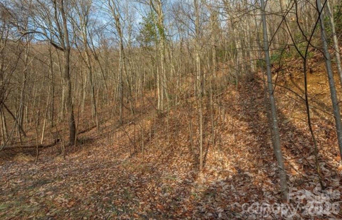 31 Reillys Bluff Road Barnardsville NC 28709