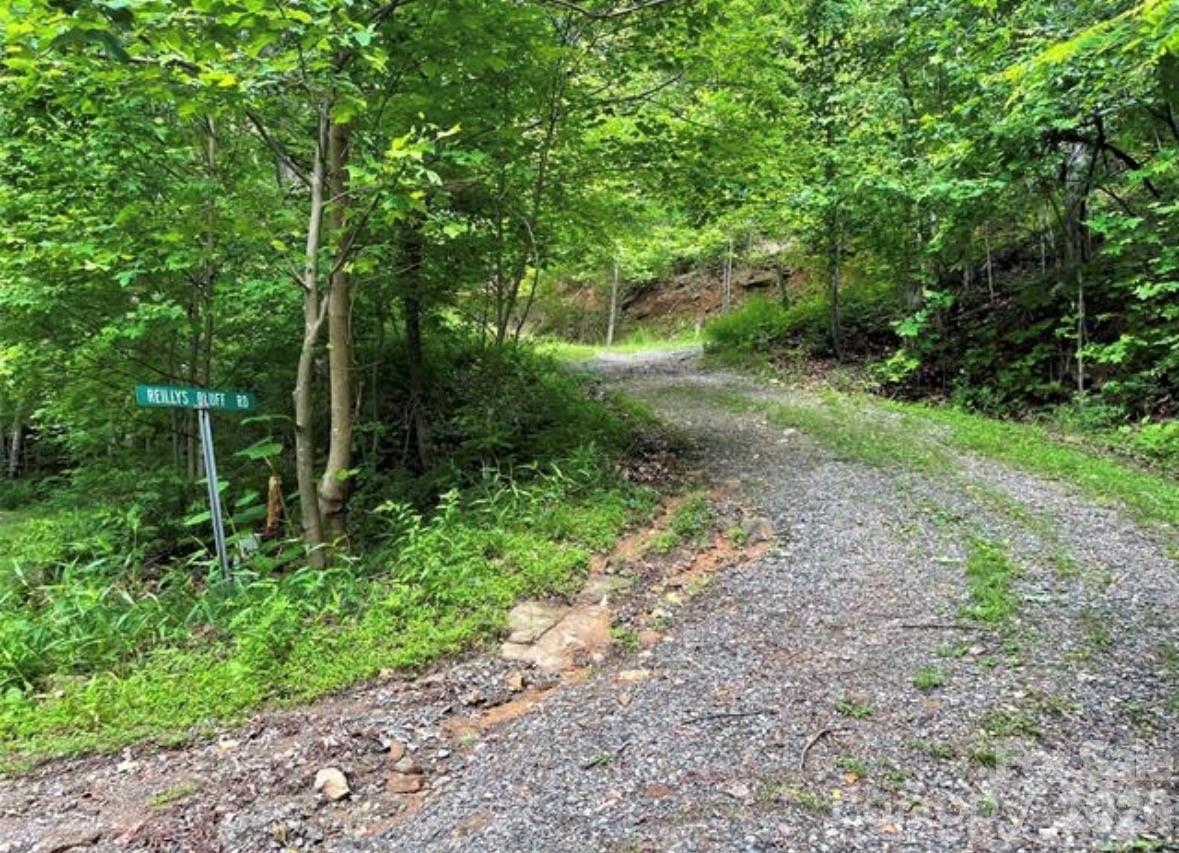 31 Reillys Bluff Road Barnardsville NC 28709