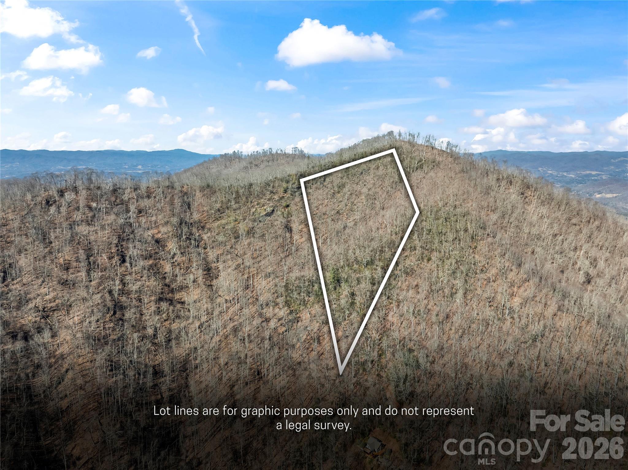 31 Reillys Bluff Road Barnardsville NC 28709