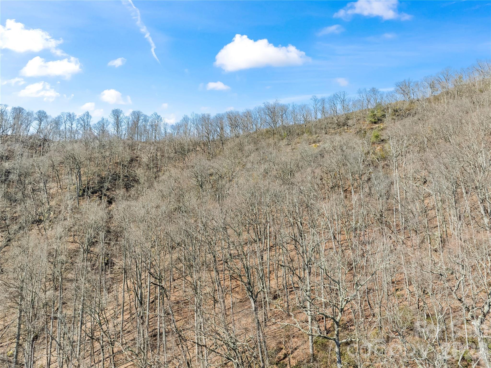 31 Reillys Bluff Road Barnardsville NC 28709