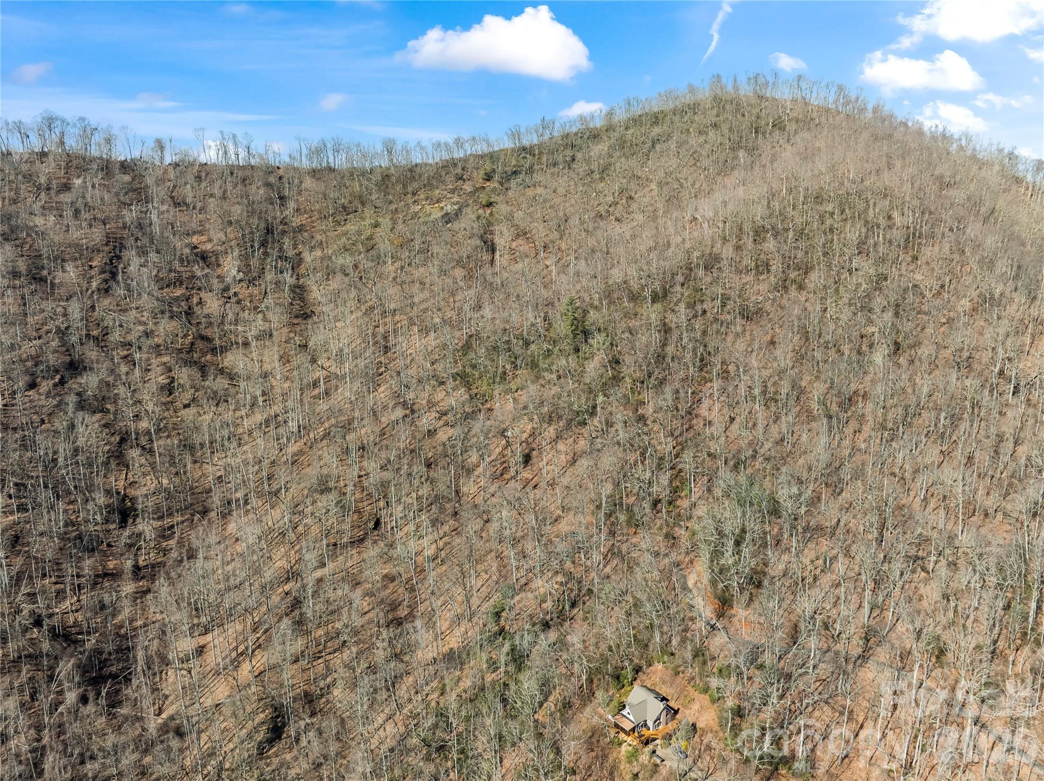31 Reillys Bluff Road Barnardsville NC 28709
