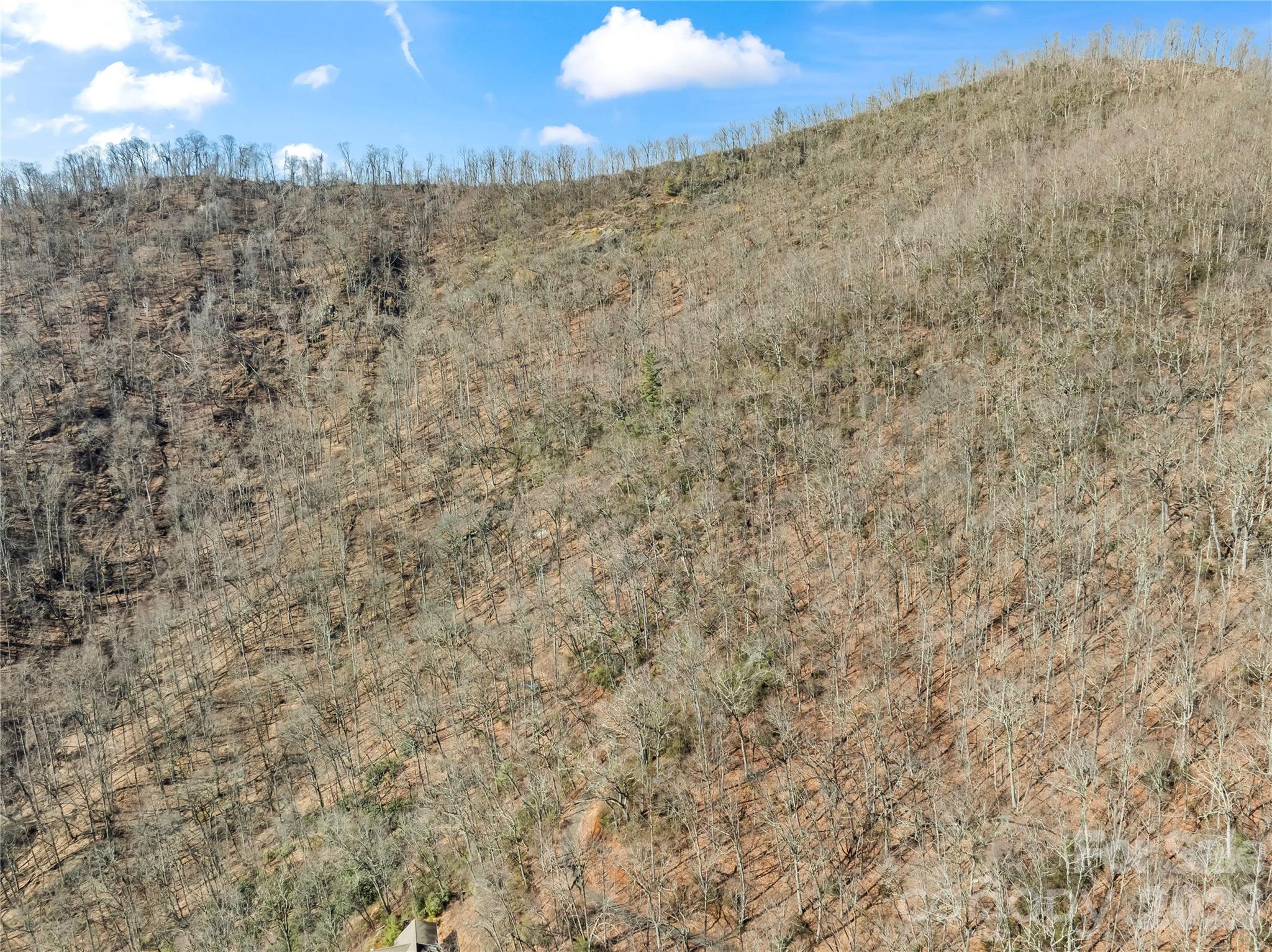 31 Reillys Bluff Road Barnardsville NC 28709