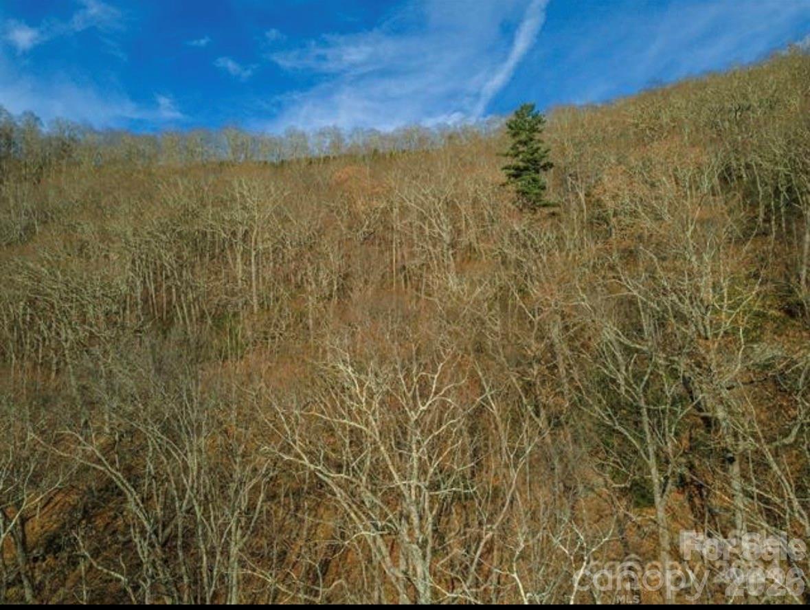 31 Reillys Bluff Road Barnardsville NC 28709