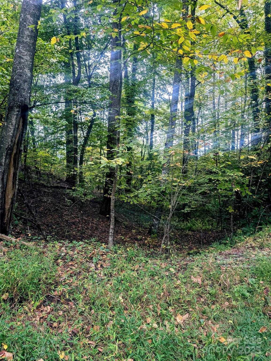 0 Luxury Lake Etowah NC 28739