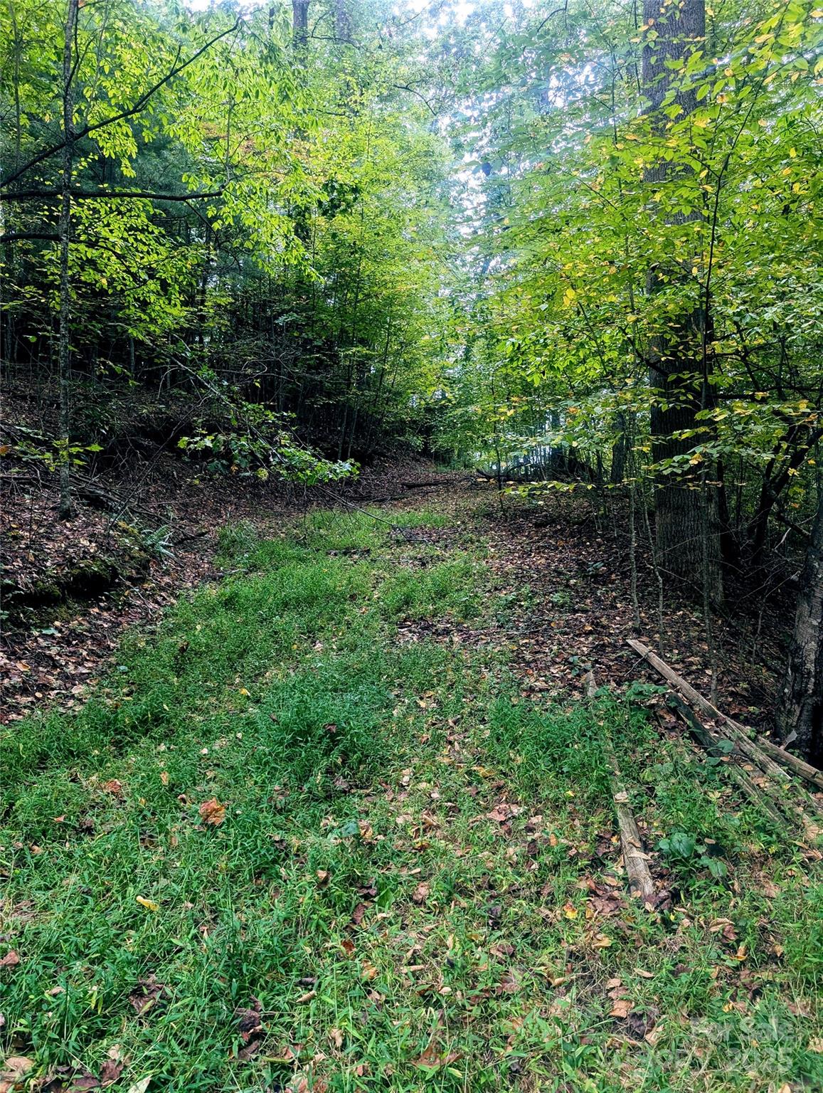 0 Luxury Lake Etowah NC 28739