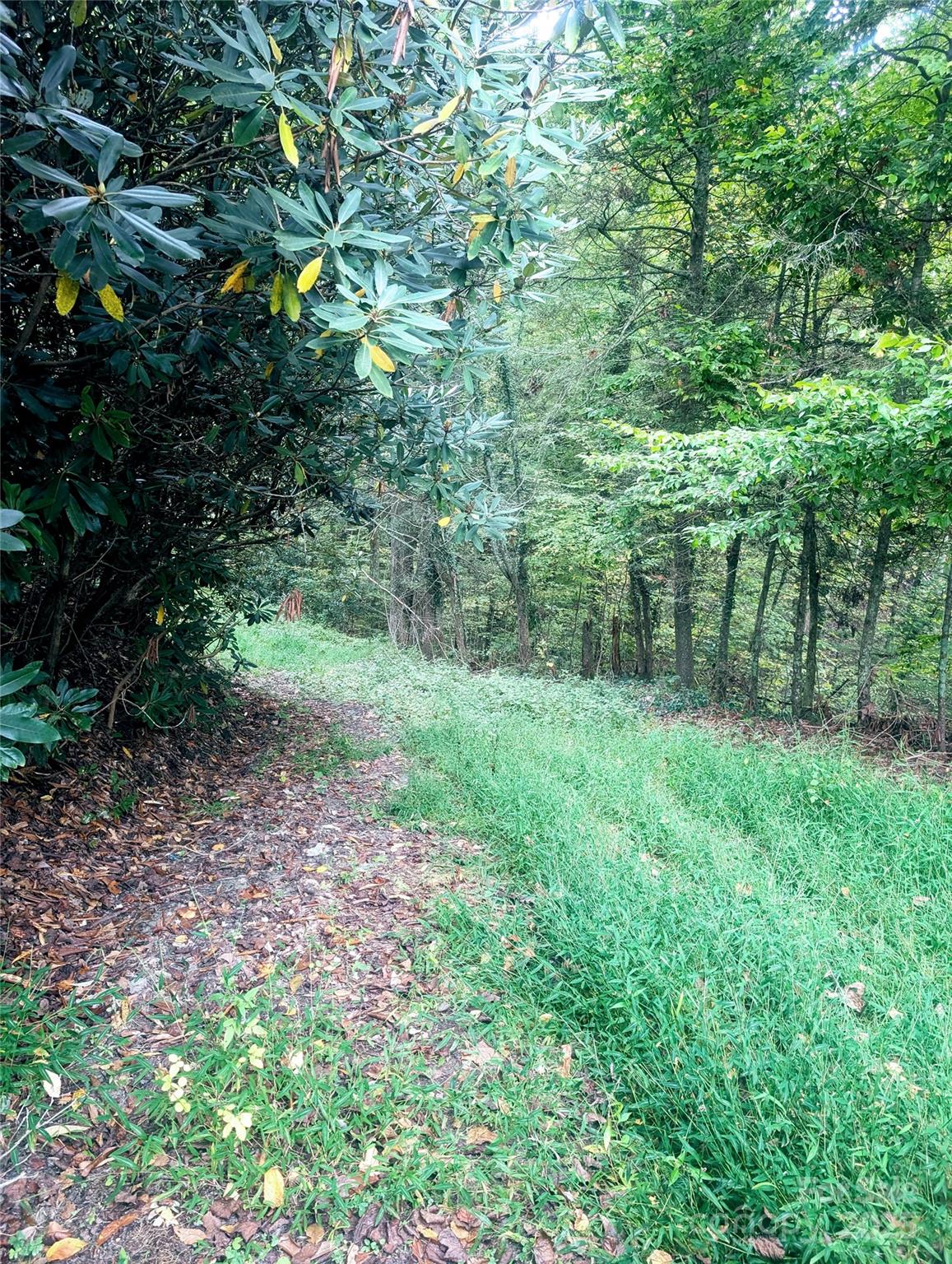 0 Luxury Lake Etowah NC 28739