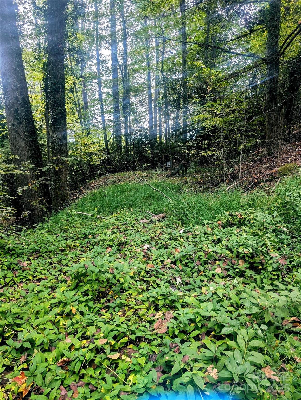 0 Luxury Lake Etowah NC 28739