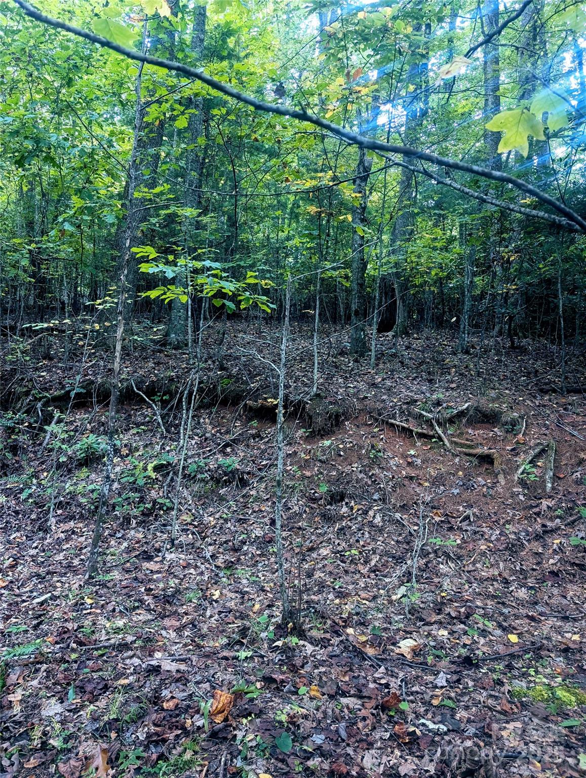 0 Luxury Lake Etowah NC 28739