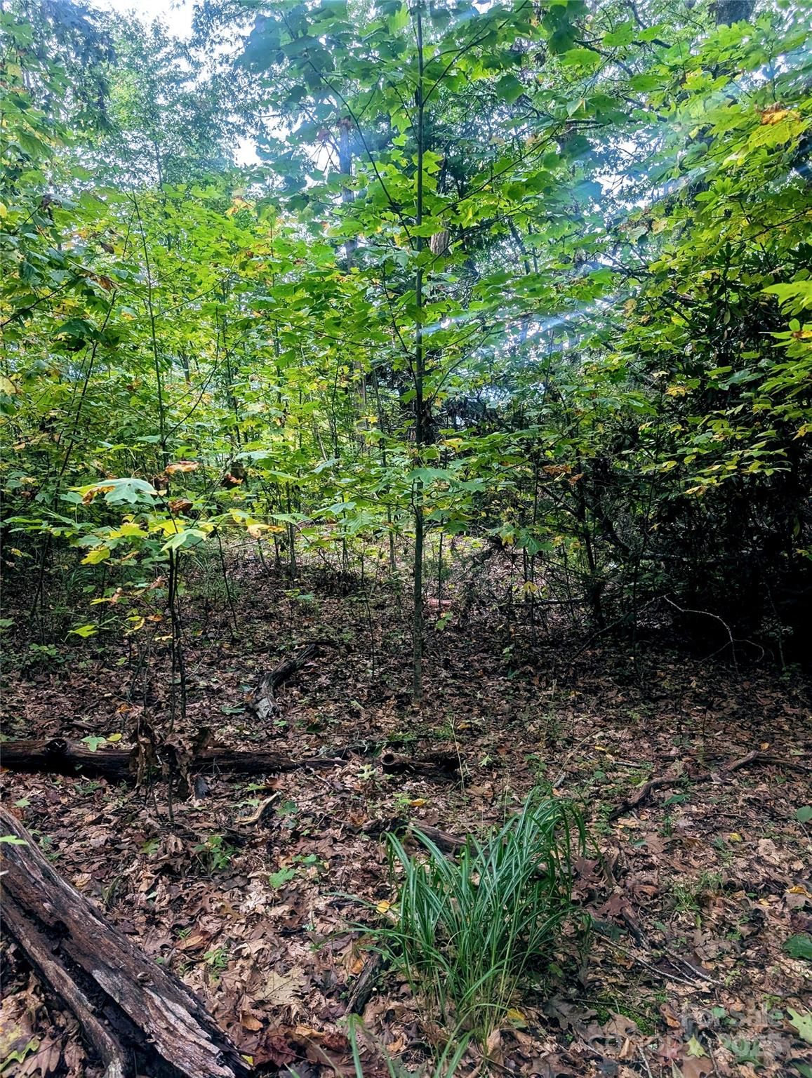 0 Luxury Lake Etowah NC 28739