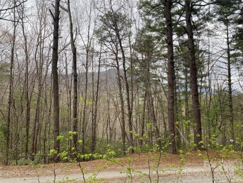 Lot 11 Fox Ridge Trail Marion NC 28752
