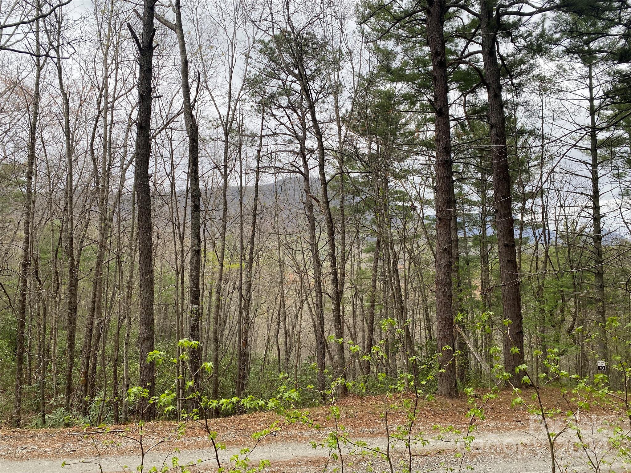 Lot 11 Fox Ridge Trail Marion NC 28752
