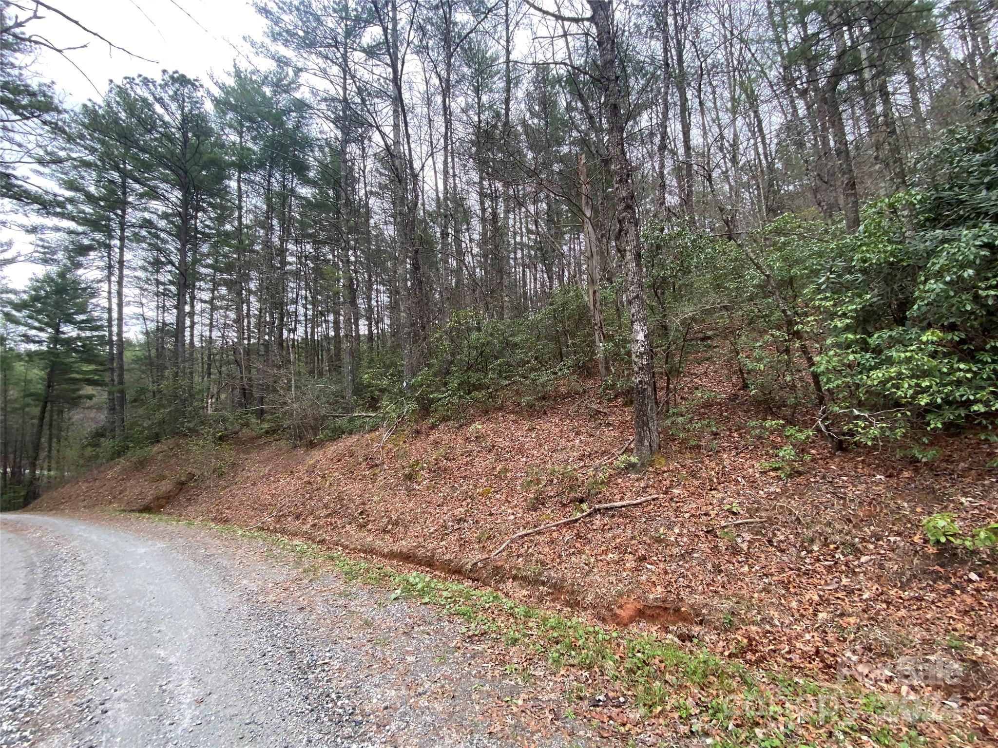 Lot 11 Fox Ridge Trail Marion NC 28752