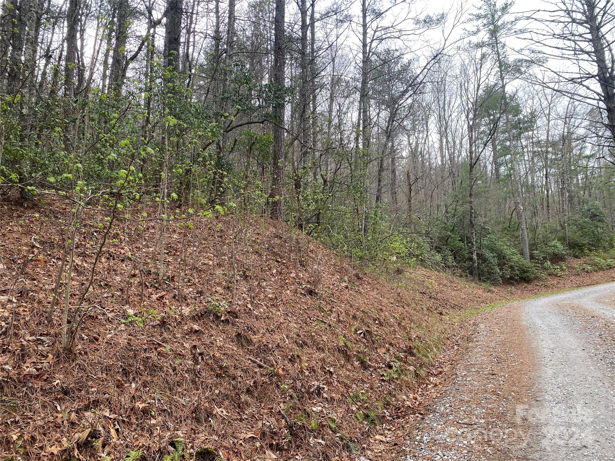 Lot 11 Fox Ridge Trail Marion NC 28752