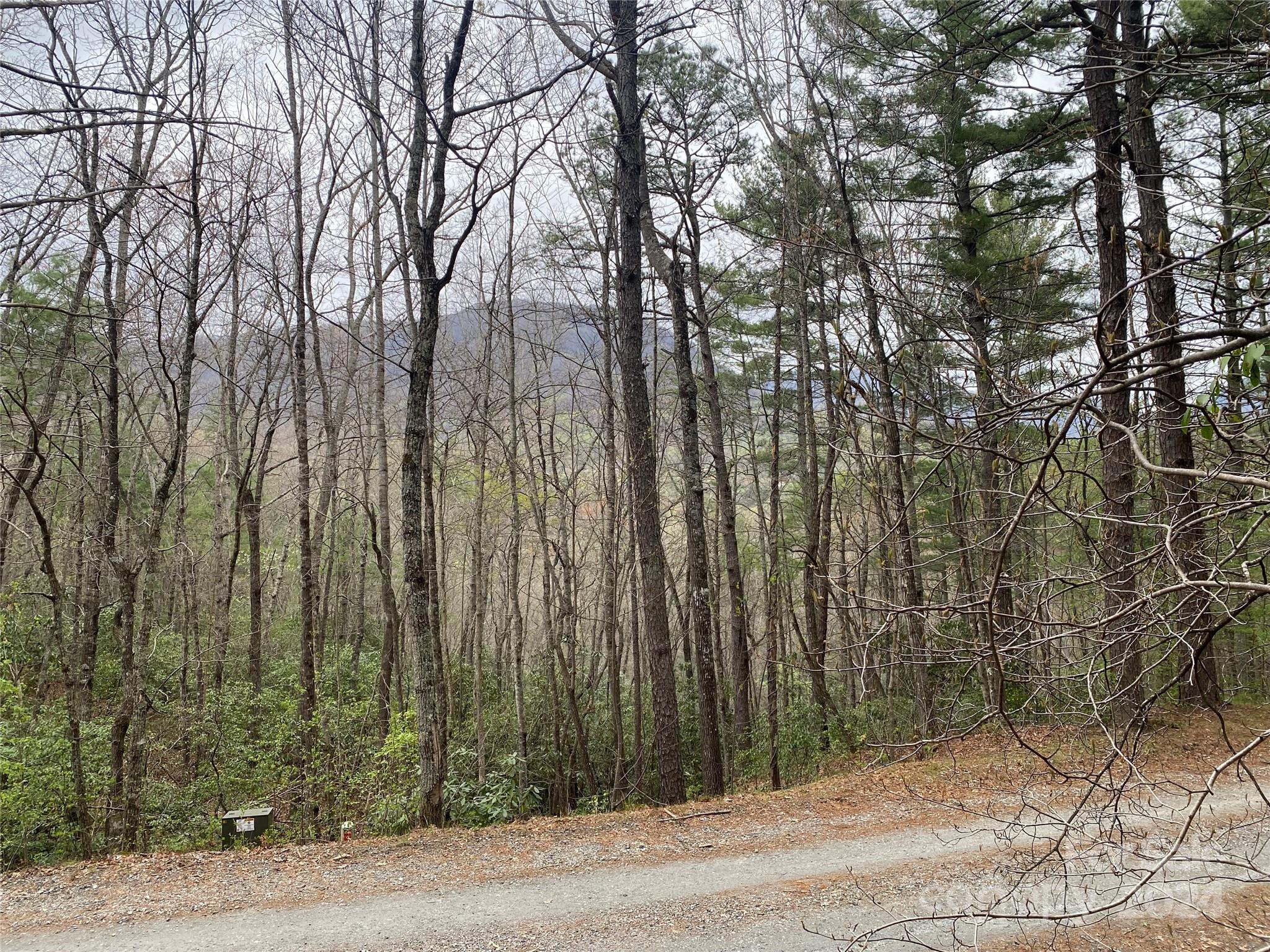 Lot 11 Fox Ridge Trail Marion NC 28752