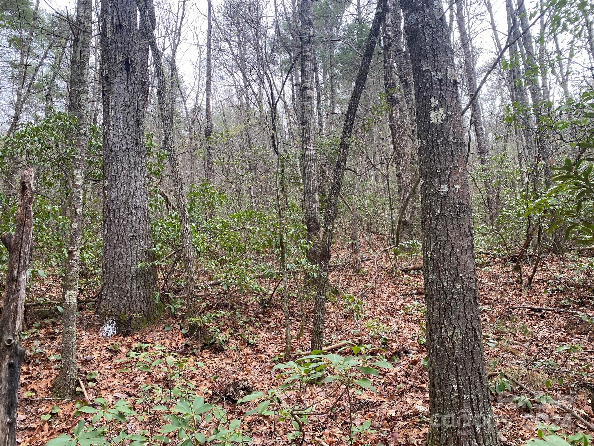 Lot 11 Fox Ridge Trail Marion NC 28752