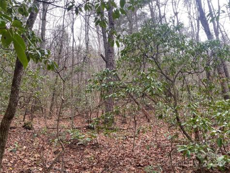 Lot 11 Fox Ridge Trail Marion NC 28752